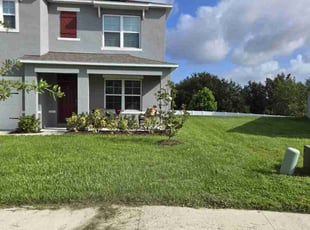 Jaime A.'s grass cutting service result
