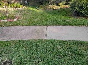 Laurie A.'s lawn maintenance service result