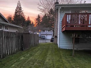 Thomas S.'s grass cutting service result