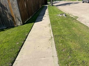 Darryl R.'s lawn care service result