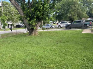 Helen G.'s turf maintenance service result