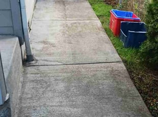 Enzo A.'s Pressure Washing service result