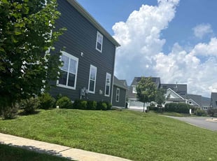 Natty R.'s turf care service result