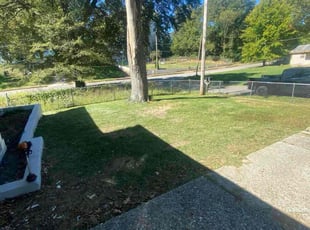 Mary F.'s lawn care services service result