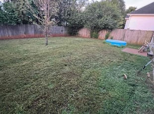Carrie B.'s lawn maintenance service result