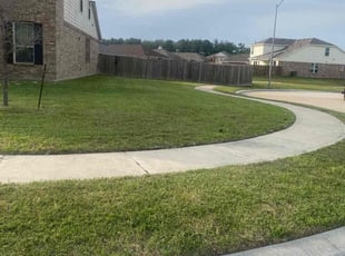 Ashraf S.'s turf care service result