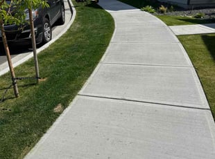 Aurora C.'s yard maintenance service result