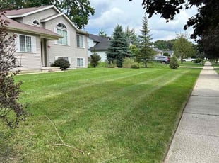 Pat A.'s turf care service result