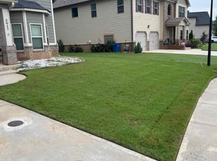 Robert W.'s lawn care services service result