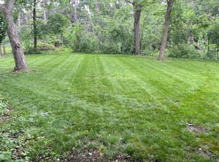 Patrick L.'s lawn care services service result