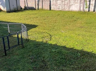 Kyle C.'s turf maintenance service result