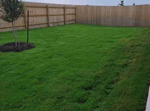 Nate M.'s turf care service result