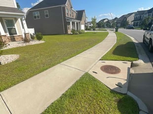 Natasha R.'s lawn care services service result