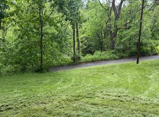 Sara D.'s lawn service service result