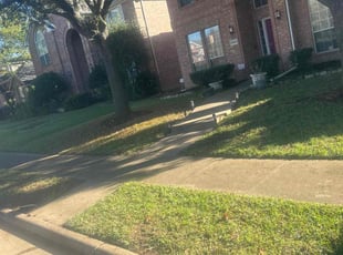 Michael C.'s lawn care services service result