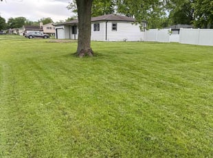 Lucius S.'s turf care service result