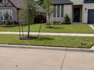 Doug W.'s lawn care services service result