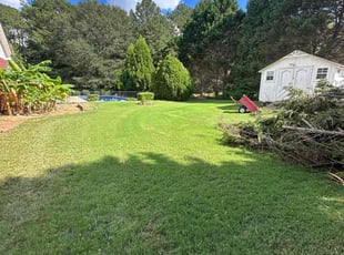 Vivian P.'s lawn care service result