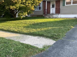 Nicole R.'s grass cutting service result