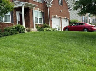 Anne E.'s grass maintenance service result