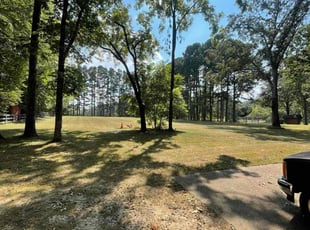 Pat K.'s lawn care services service result