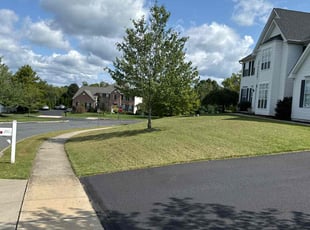 Kimmberly Z.'s grass cutting service result