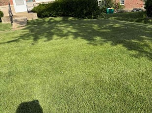 James P.'s grass cutting service result