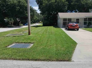 Brett M.'s turf care service result