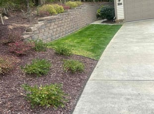 Cee J.'s lawn care services service result