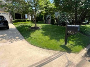 Cindy T.'s turf care service result