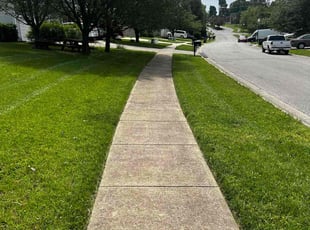Arslan N.'s grass cutting service result