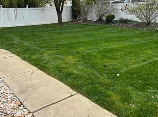 James M.'s lawn care services service result