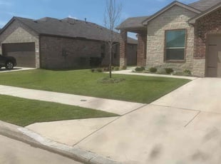 Marggi M.'s grass maintenance service result