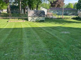 Brett E.'s lawn service service result
