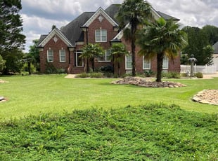 Jeanne L.'s lawn maintenance service result