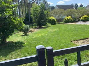 Christopher B.'s lawn care service result