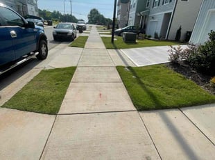 Diana G.'s lawn care service result