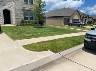 Jay M.'s lawn maintenance service result
