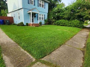 Patrick C.'s turf maintenance service result