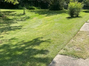 Marsha H.'s grass cutting service result
