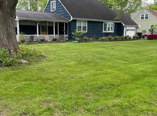 Alice G.'s turf maintenance service result