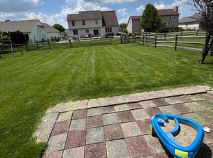 Rebecca P.'s turf maintenance service result