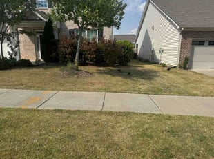 Ben F.'s grass cutting service result