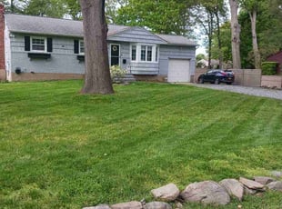 Michelle H.'s grass maintenance service result