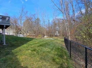 Rob H.'s lawn care service result