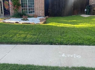 Celina H.'s gardening service service result