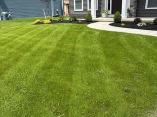 Greg H.'s turf maintenance service result