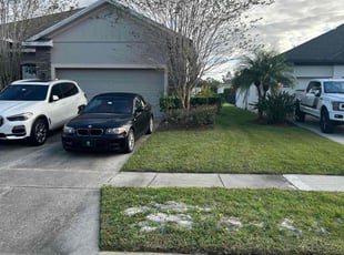 Marie P.'s grass cutting service result