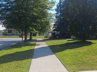 Shaneen B.'s turf maintenance service result