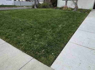 Kirsten R.'s lawn maintenance service result